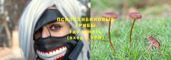 Альфа ПВП Армянск