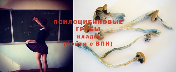 амф Арсеньев